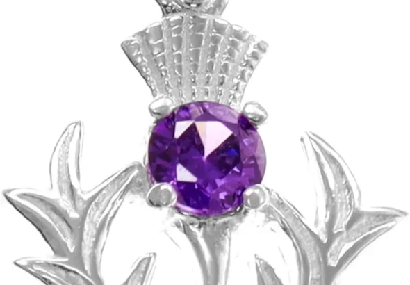 Alexander Castle 925 Sterling Silver Scottish Thistle Pendant with Real Amethyst Stone Necklace, 18" Chain & Gift Box