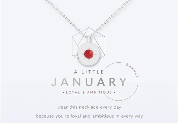 Personalized Birthstone Necklace: A Thoughtful Birthday Gift for January, February, March, April, May, June, July, August, September, October, November, or December