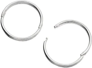 Silver Hinged Hoop Earrings for Women