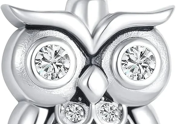 Owl Cremation Jewelry