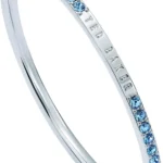 Ted Baker Claudia Narrow Crystal Hinged Bangle Bracelet for Women