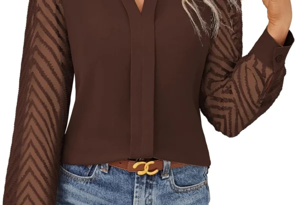 GRACE KARIN Women Business Casual Tops Sheer Lace Long Sleeve Blouses Work Office Pleated V Neck Shirt Fall Formal Outfits