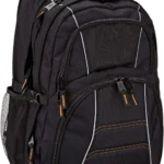AmazonGear Laptop Backpack